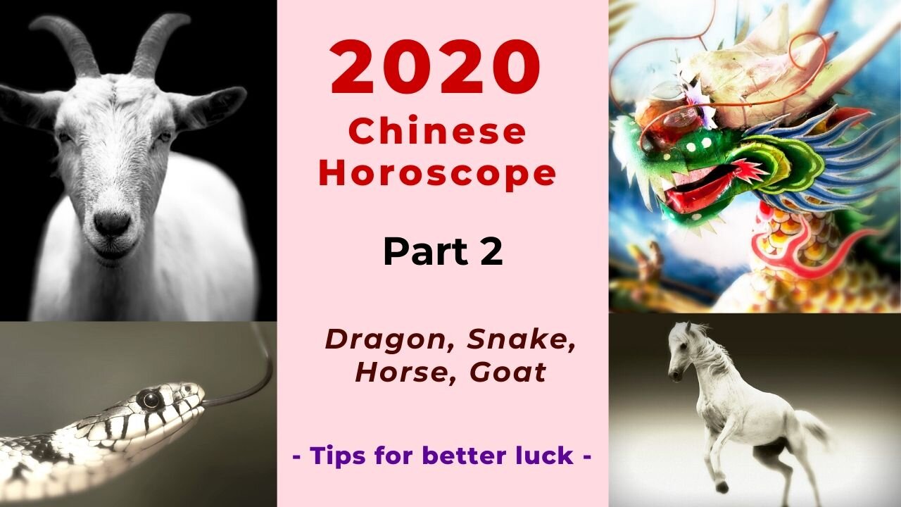 Horoscope 2019 Horse